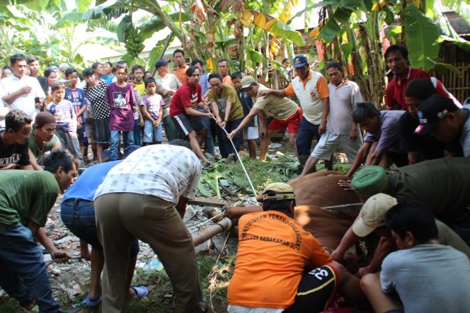 
					100 Panitia Kurban Bakal Dapat Pelatihan