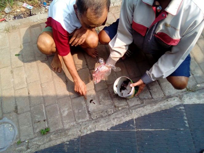 
					RT05/08 Curug Diserbu Ulat Bulu