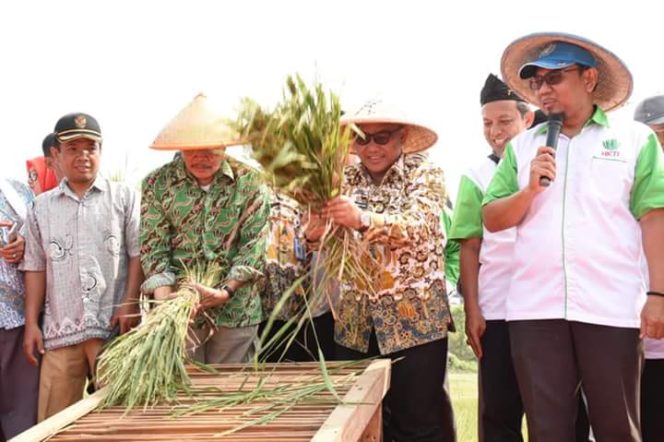 
					Tapos Panen Raya Padi Organik