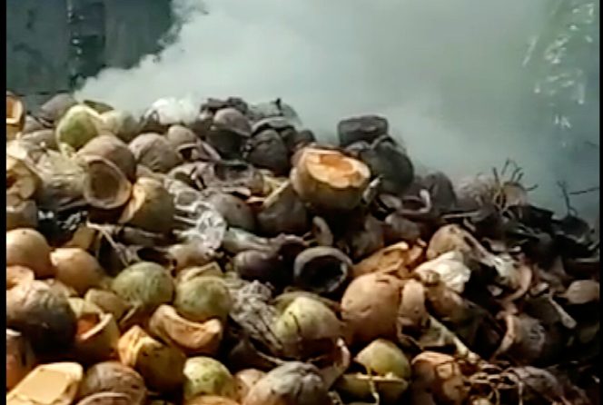 
					Asap Tempurung Kelapa Resahkan Warga RJB