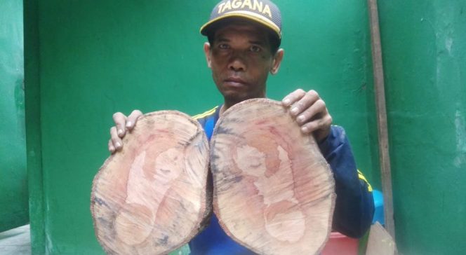 
					Jejak Sepasang Kaki di Dalam Dahan Bikin Geger