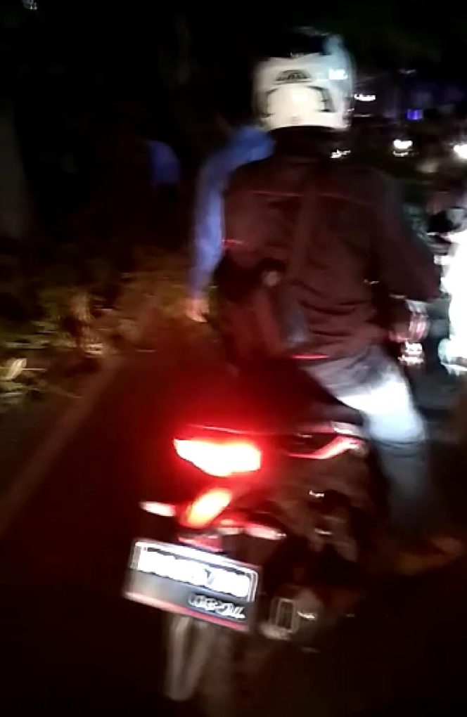 
					Bonggol Bambu Disekitar Ponpes Al-Hamidiyah Longsor