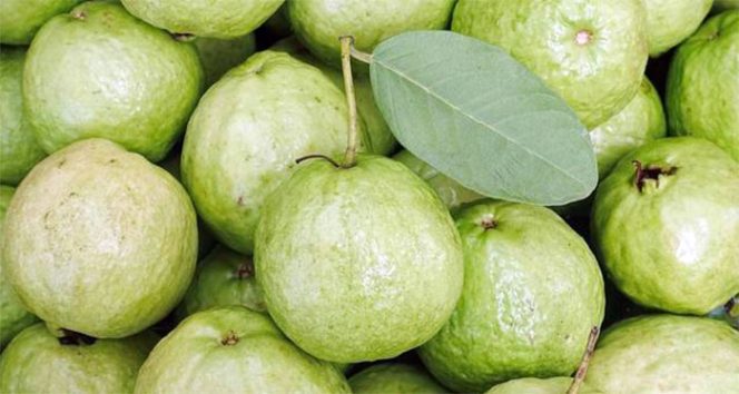 
					Pengmas UI Tingkatkan Pemasaran Produk Jambu Kristal