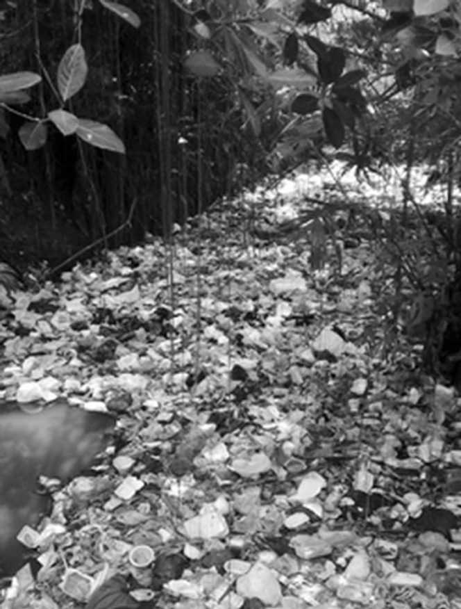 
					Inilah timbunan sampah di badan Kali Utan yang bisa memicu banjir dan longsor. Namun, belum dibersihkan petugas pihak terkait. 