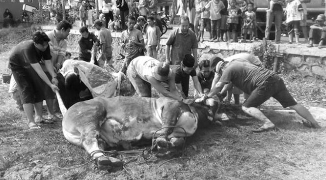 
					Penyembelihan hewan kurban di Perumahan Puri Depok Mas.