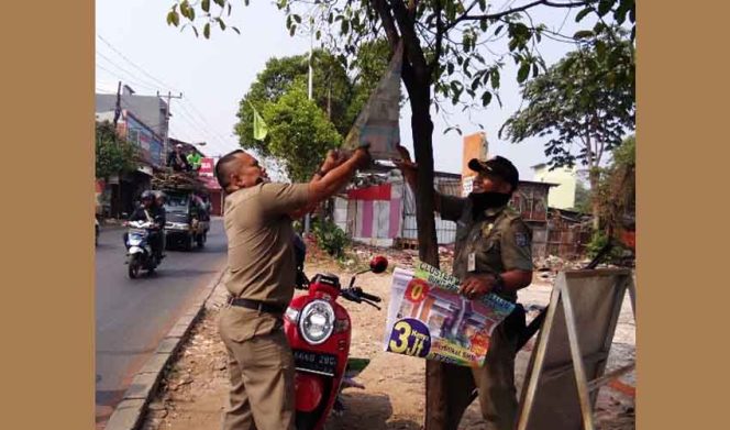 
					Petugas Satpol PP Kecamatan mencopot spandul yang terpasang di pohon.