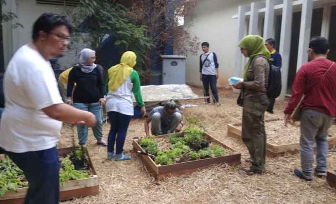 
					Komunitas Bekasi Berkebun Kini Eksis 8 Tahun