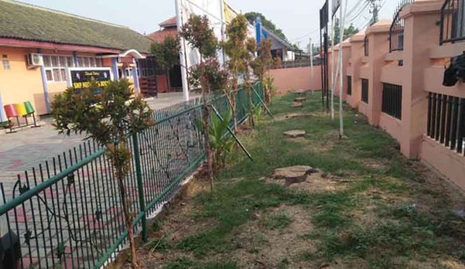 
					Lokasi halaman yang sebelumnya tumbuh sejenis pohon cemara, namun terlihat gersang.