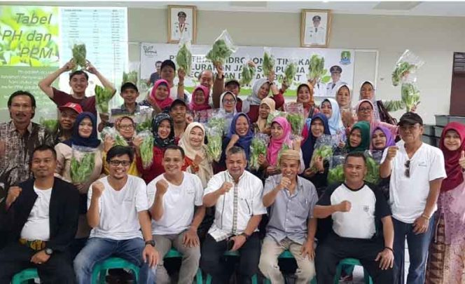 
					Jakasampurna Bakal Miliki Supermarket Tanaman Hidroponik