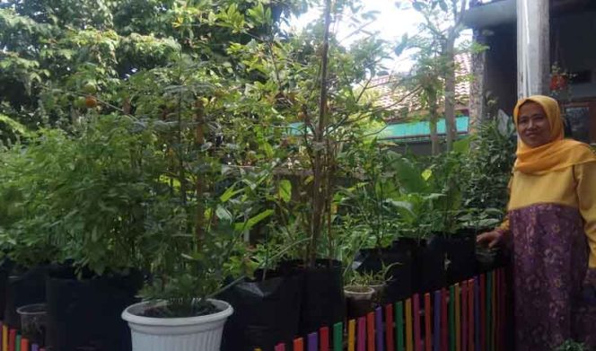 
					Kelompok Wanita Tani