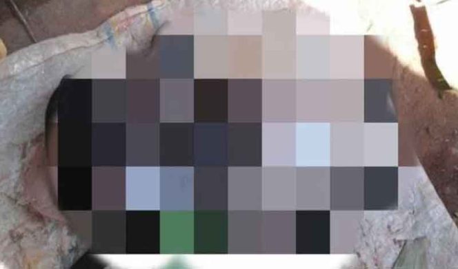 
					Kambing Udin Mirip Manusia Bikin Heboh Warga