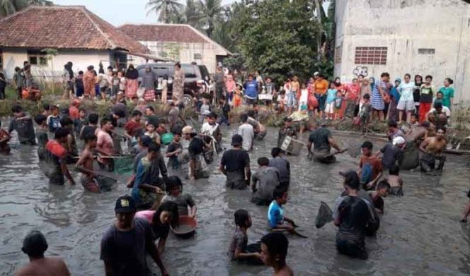 
					Keseruan ratusan warga Kecamatan Rumpin terjun ke empang dan sungai untuk memperebutkan ikan mas.