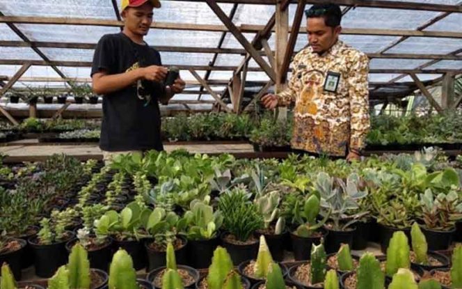 
					Lurah Tanah Baru, Zakky Fauzan (kanan)  melihat tanaman kaktus.