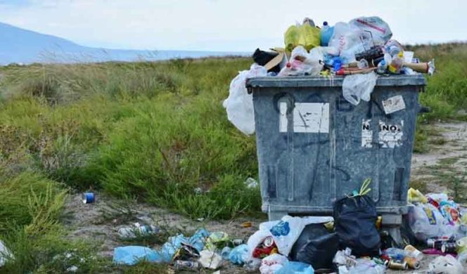 
					Foto ilustrasi : Istimewa