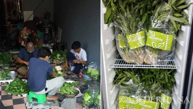 
					Jaksam Tularkan Warga Lain dan Miliki Brand Sendiri.