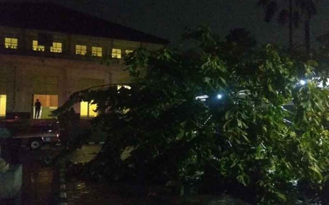 
					Pohon tumbang di halaman kantor DPRD Kota Depok nyaris menimpa mobil anggota DPRD Kota Depok.
