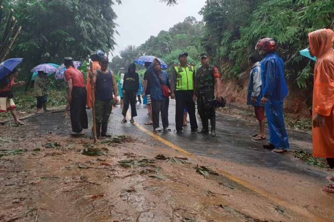 
					Nanggung dan Kecamatan Cigudeg lumpuh total akibat 3 pohon tumbang serta 2 batang tiang listrik roboh