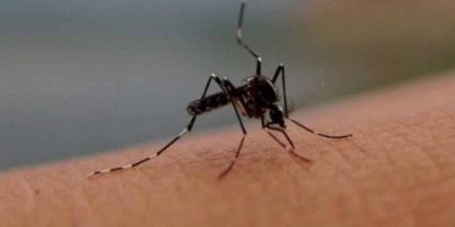 
					Warga Duser Diduga Terkena Chikungunya