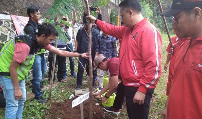 
					HUT PDIP ke -47. Pengurus PDIP DPC Kota Sukabumi tanam pohon buah Pala yang konon pernah menjadi ikon pertanian.