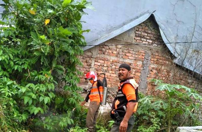 
					Petugas sedang membersihkan ulat berwarna hitam bergaris merah yang menempel di dinding hingga atap rumah milik warga.