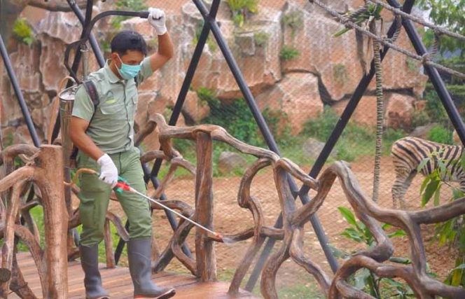 
					Royal Safari Garden Bogor