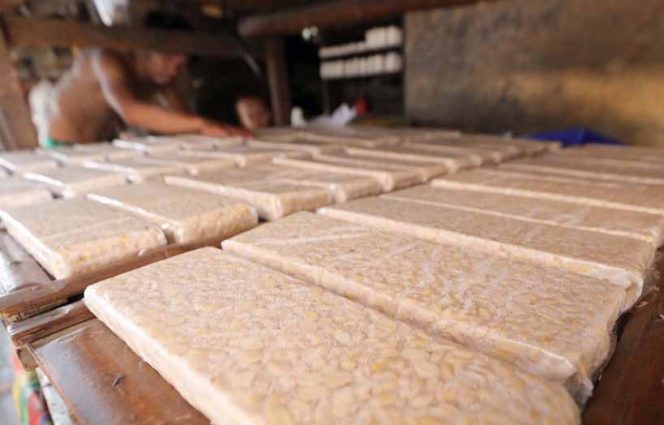 
					Pengrajin Tahu Tempe Harapkan Kehadiran Pemerintah