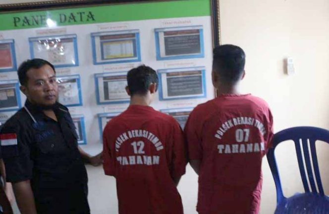 
					Dua orang diamankan polisi karena kedapatan menanam ganja.